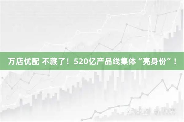 万店优配 不藏了！520亿产品线集体“亮身份”！